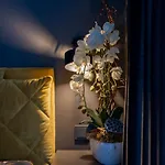 Vincent Luxe - Near Clinic, Arena And Stadium