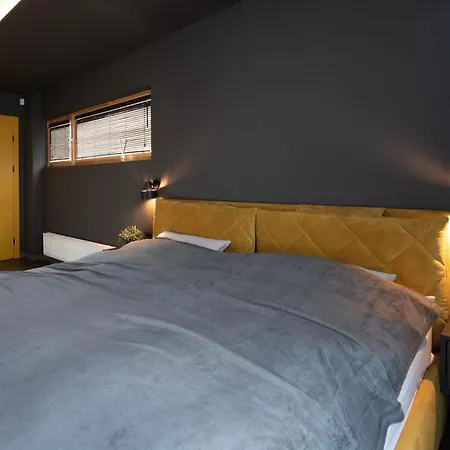 Vincent Luxe - Near Clinic, Arena And Stadium Apartament Kowno