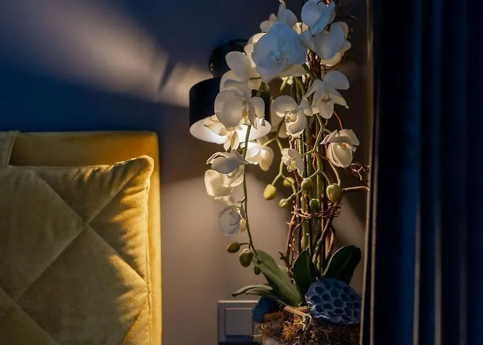 Vincent Luxe - Near Clinic, Arena And Stadium